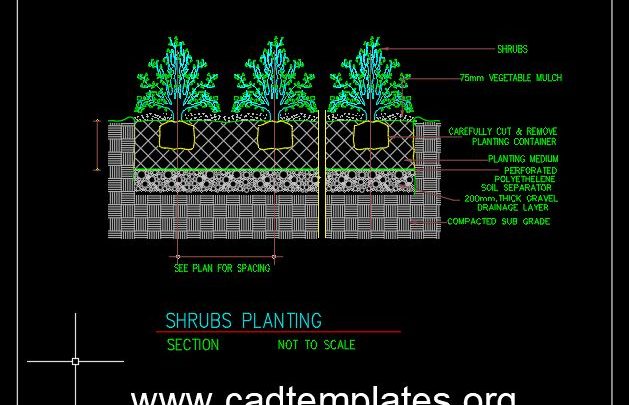 Shrubs Planting Details CAD Template DWG