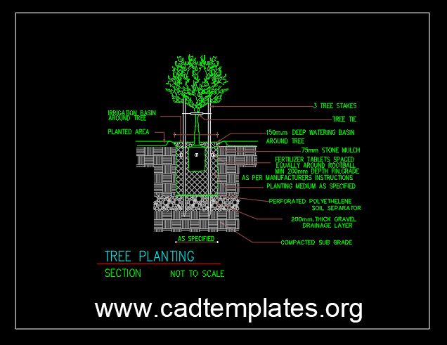 Tree Planting Details CAD Template DWG
